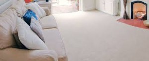 carpet cleaning Canoga Park