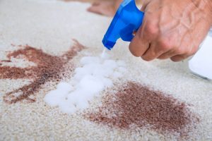 carpet cleaning Canoga Park